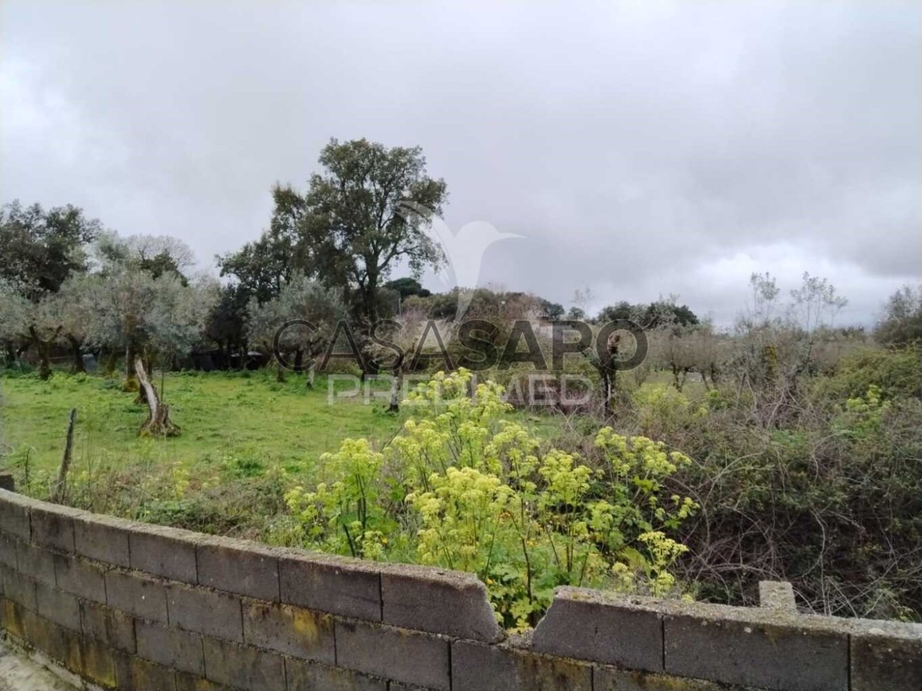  قطعة أرض في Quarteira, Portugal رقم 196211