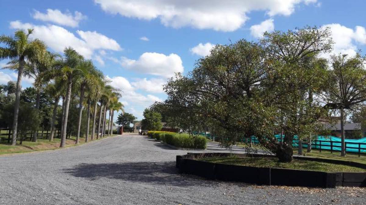  قطعة أرض في Pilar, Argentina رقم 48902