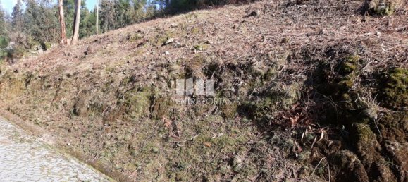 5700m² Land in Marco de Canaveses, Portugal No. 52228 5