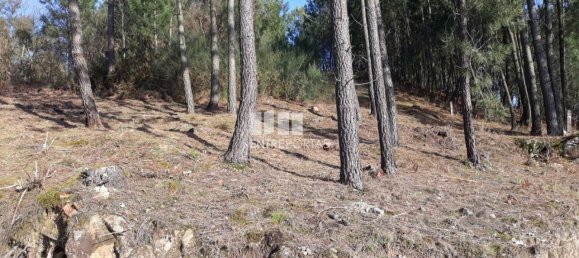 5700m² Land in Marco de Canaveses, Portugal No. 52228 6