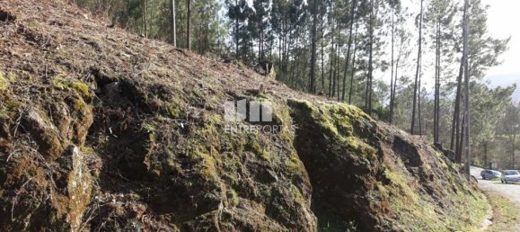 5700m² Land in Marco de Canaveses, Portugal No. 52228 3