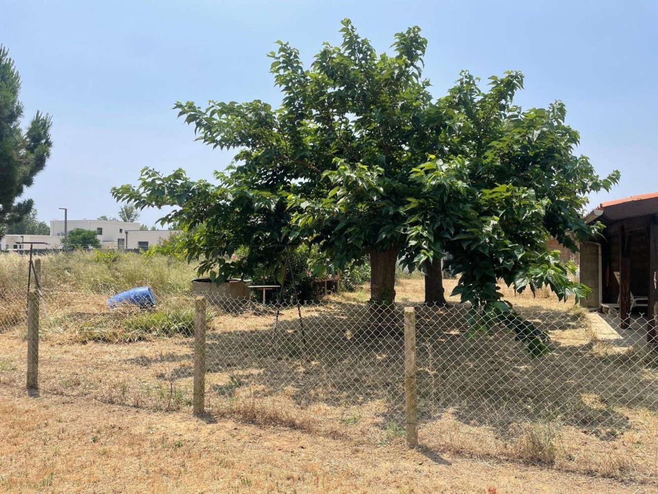  Land in Serignan, France No. 294535