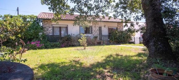 4 bedrooms House in Alcobaca, Portugal No. 29298 32