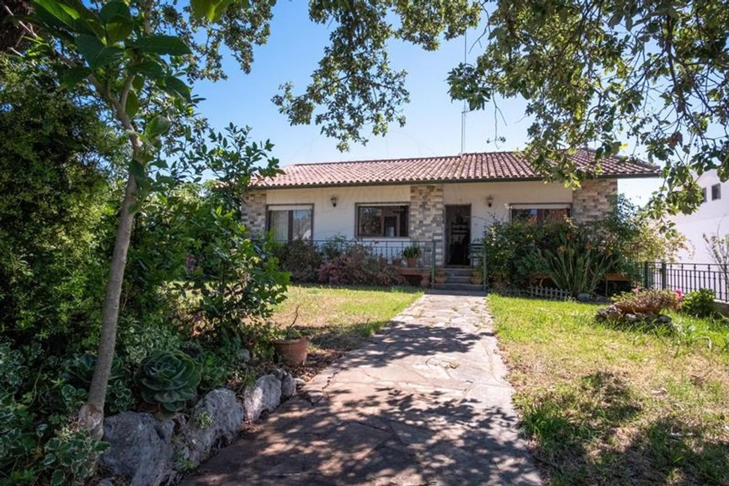 4 bedrooms House in Alcobaca, Portugal No. 29298