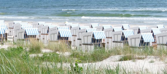 Propiedad comercial de 1 habitación en Vorpommern-Rugen, Germany No. 133029 10