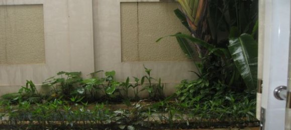 4 bedrooms Villa in Tay Ho, Vietnam No. 6334 2