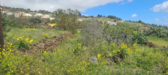  قطعة أرض في El Hierro, Spain 2398متر مربع رقم 89703 5