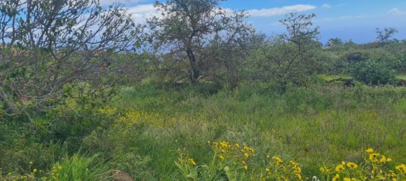  قطعة أرض في El Hierro, Spain 2398متر مربع رقم 89703 2