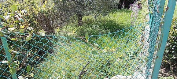 5 rooms House in Marliana, Italy No. 74799 23