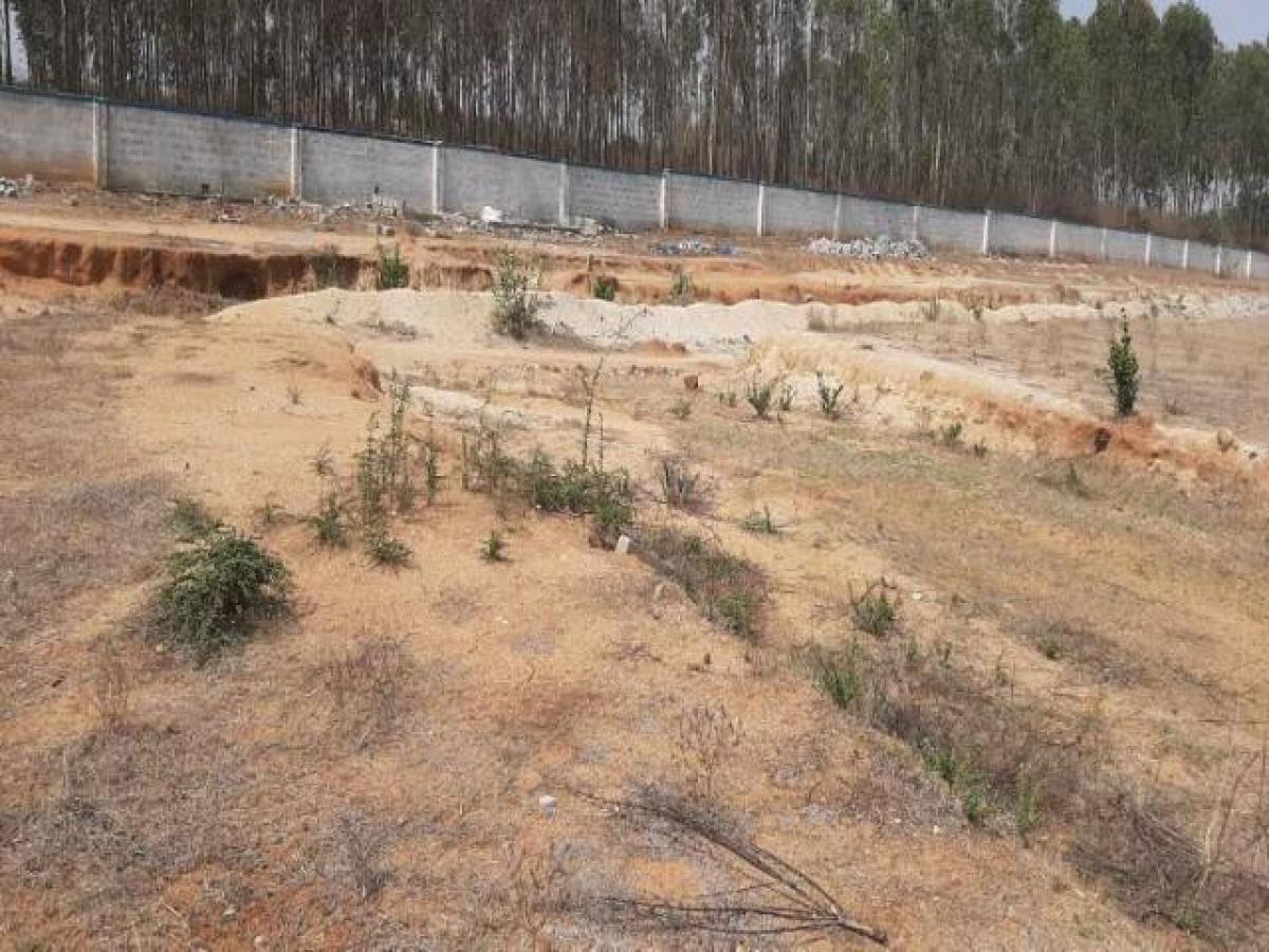  Land in Bangalore, India No. 32890