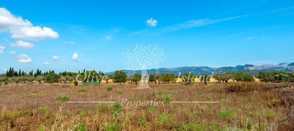 3 bedrooms House in Sencelles, Spain No. 143503 3