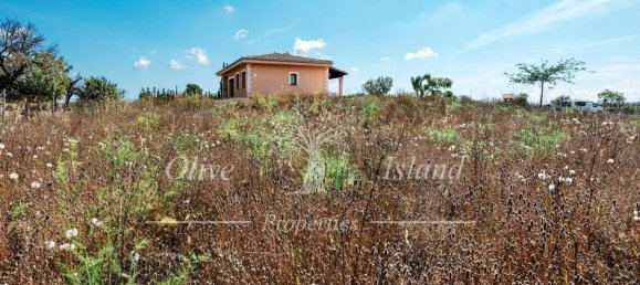 3 bedrooms House in Sencelles, Spain No. 143503 23