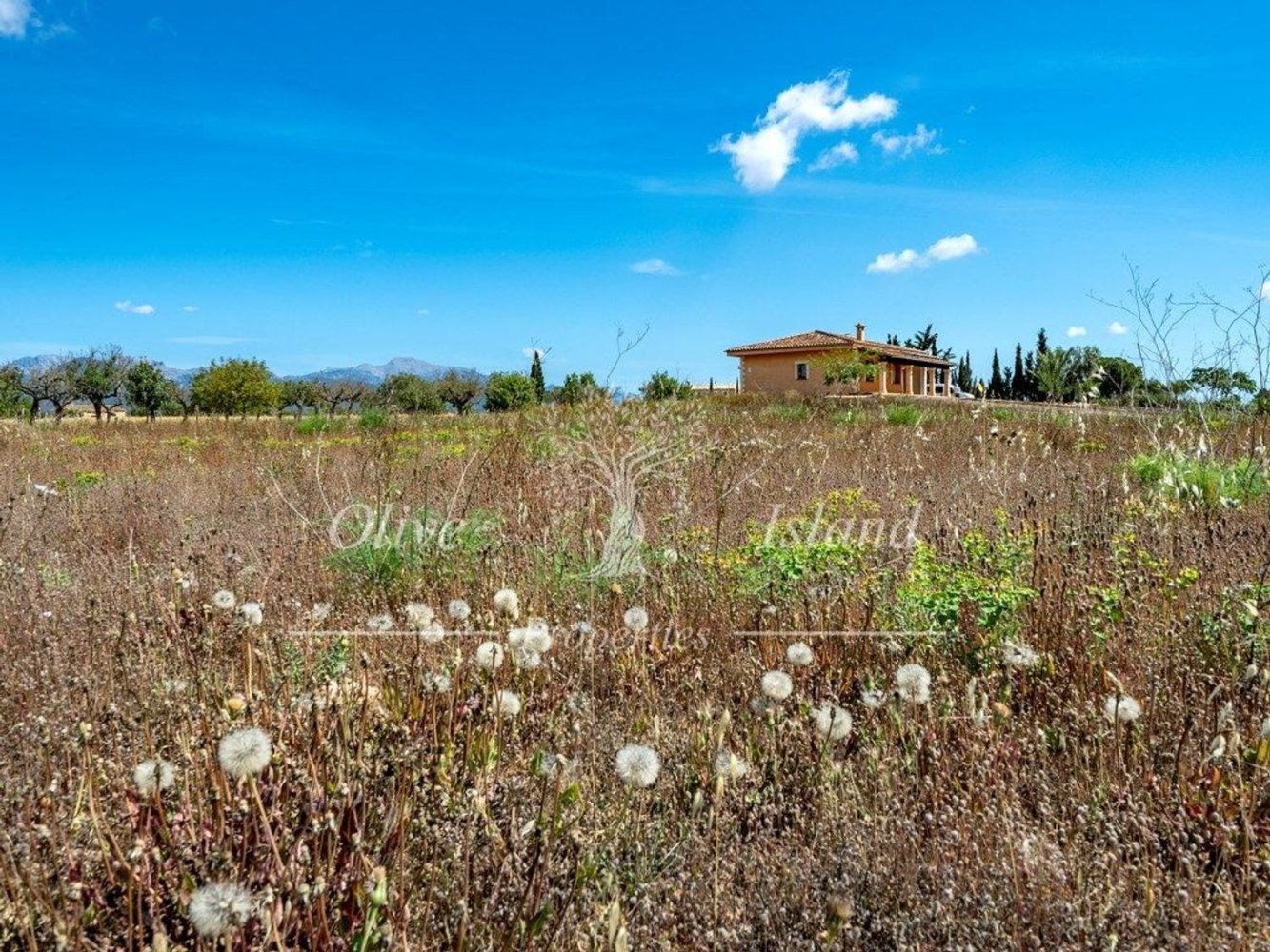 3 bedrooms House in Sencelles, Spain No. 143503