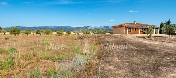 3 bedrooms House in Sencelles, Spain No. 143503 4