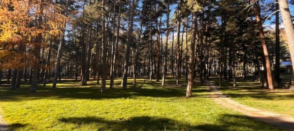 3 rooms Apartment in Bardonecchia, Italy No. 87371 29