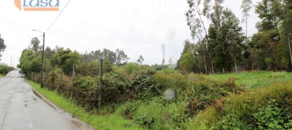 Grundstück in Rio Meao, Portugal 4520m², Nr. 86241 14