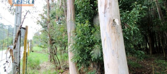 Grundstück in Rio Meao, Portugal 4520m², Nr. 86241 7