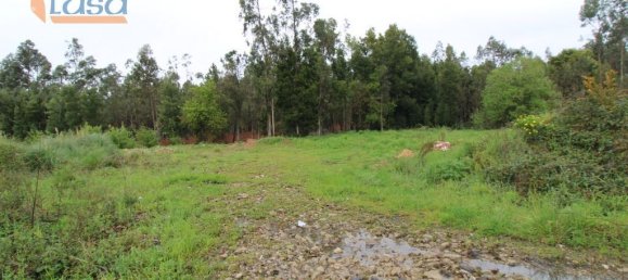 Grundstück in Rio Meao, Portugal 4520m², Nr. 86241 13