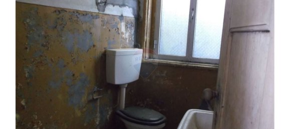 3 bedrooms House in Figueiro dos Vinhos, Portugal No. 179303 5