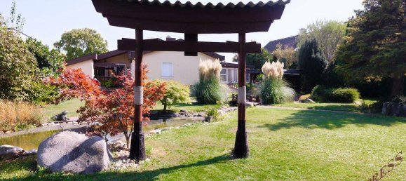 4 rooms Bungalow in Schwechat, Austria No. 242872 4