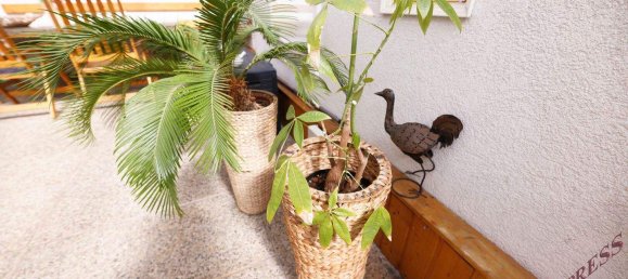 4 rooms Bungalow in Schwechat, Austria No. 242872 36