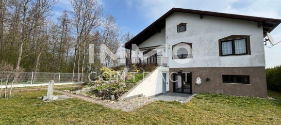 Propiedad comercial de 4 habitaciónes en Weikendorf, Austria No. 143967 4