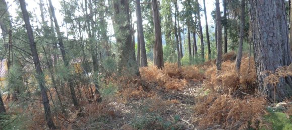 1719m² Land in Viseu, Portugal No. 69086 5