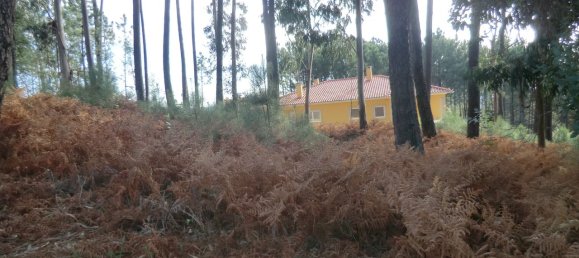 1719m² Land in Viseu, Portugal No. 69086 4