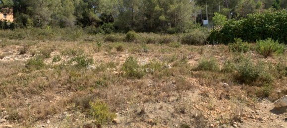 Grundstück in Barcelona, Spain 483m², Nr. 105743 5