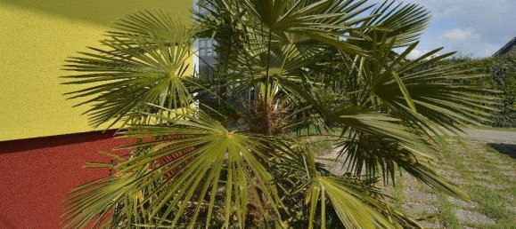 Casa de 8 divisões em Bad Radkersburg, Austria N.º 186482 6