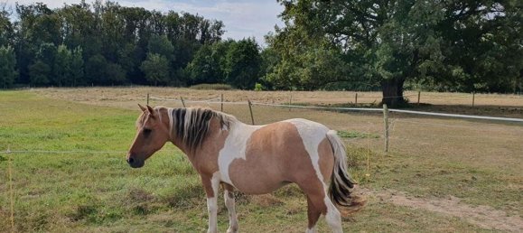 7 Schlafzimmer Haus in Arthon, France, Nr. 253227 18