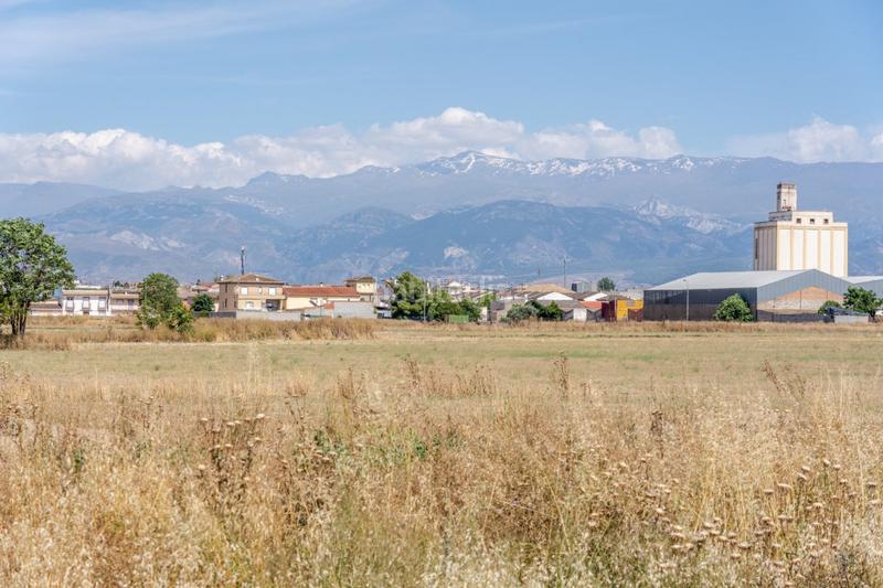 1305m² Land in Santa Fe, Spain No. 101826