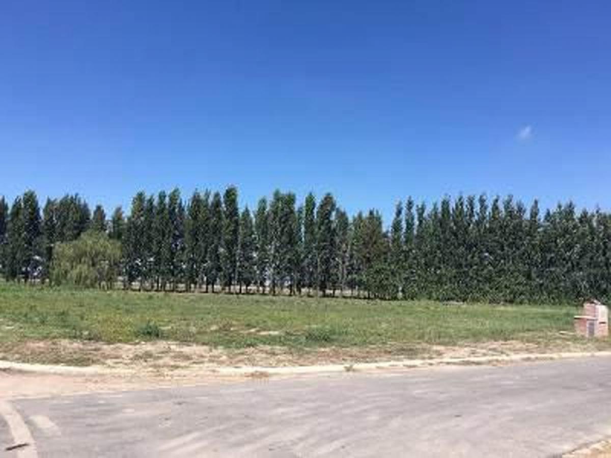  Land in Ezeiza, Argentina No. 32100