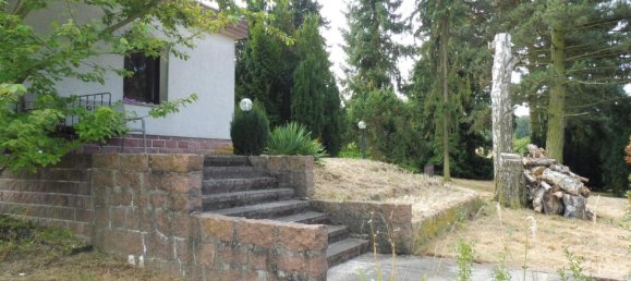  قطعة أرض في Wittenberg, Germany 1968متر مربع رقم 310322 9