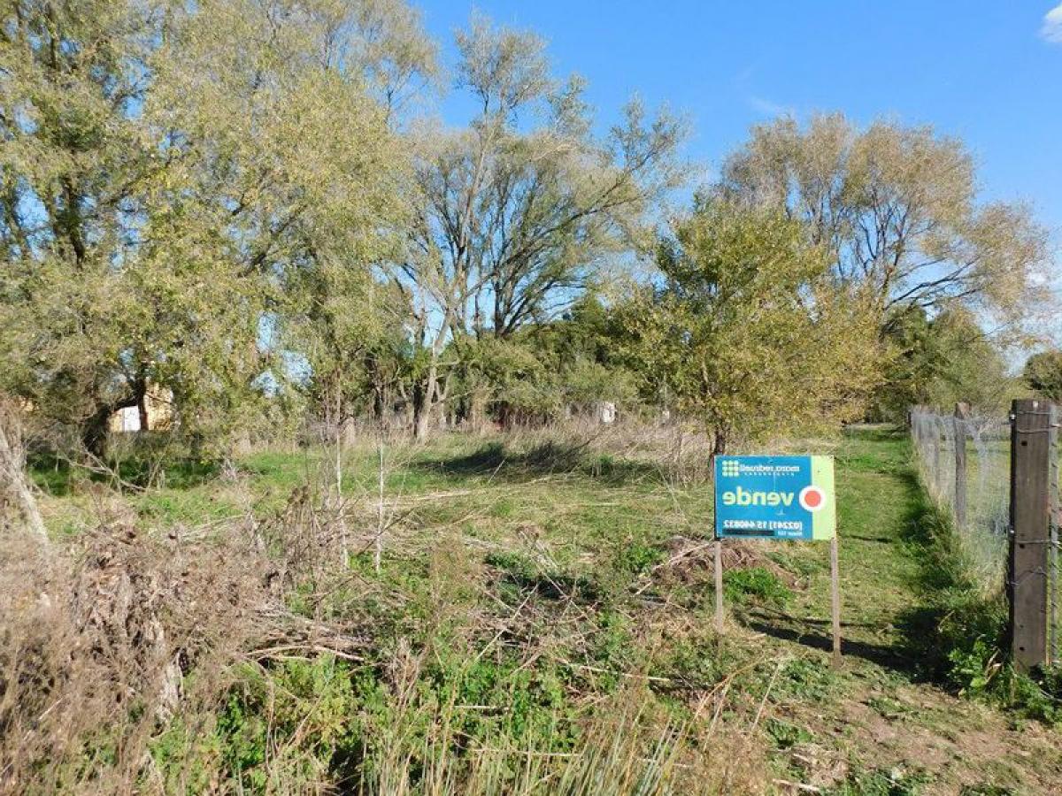  Land in Chascomus, Argentina No. 46944