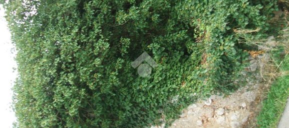 2 Schlafzimmer Haus in Piedimonte San Germano, Italy, Nr. 92813 6