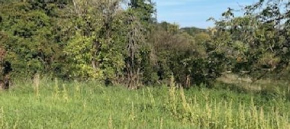 Земельный участок в Буксьер-о-Шен, Франция № 75444 4