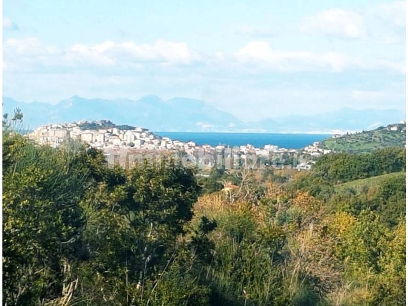 16800m² Land in Laureana Cilento, Italy No. 295615