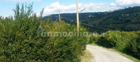 16800m² Land in Laureana Cilento, Italy No. 295615 4