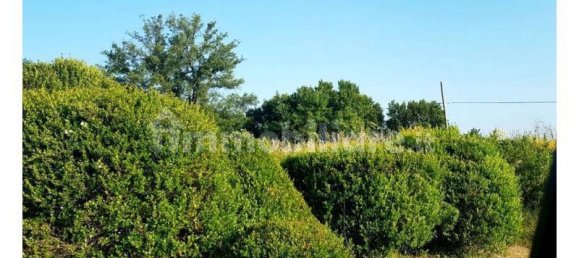 16800m² Land in Laureana Cilento, Italy No. 295615 3