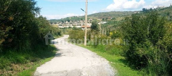 16800m² Land in Laureana Cilento, Italy No. 295615 2