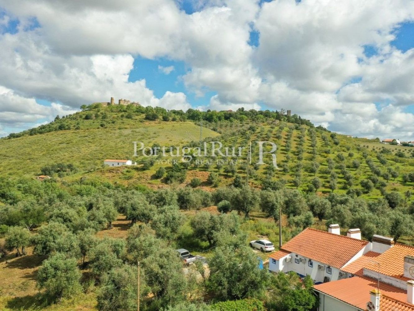 4 bedrooms House in Montemor o Novo, Portugal No. 15078