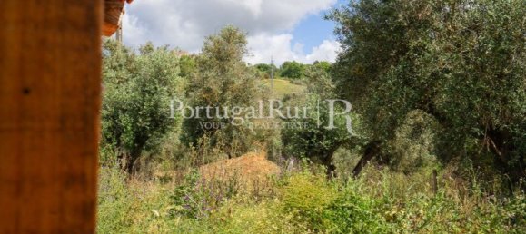 4 bedrooms House in Montemor o Novo, Portugal No. 15078 31