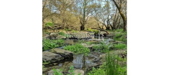 4 bedrooms House in Montemor o Novo, Portugal No. 15078 9