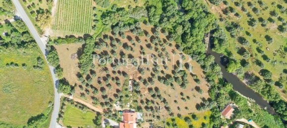 4 bedrooms House in Montemor o Novo, Portugal No. 15078 25