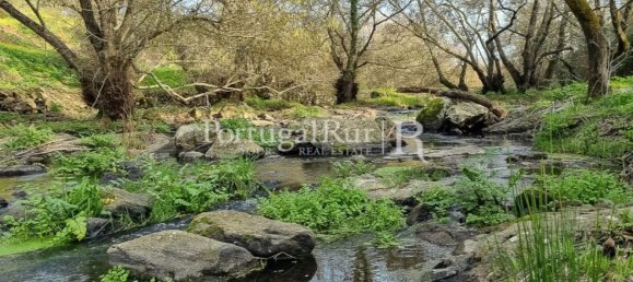 4 bedrooms House in Montemor o Novo, Portugal No. 15078 28