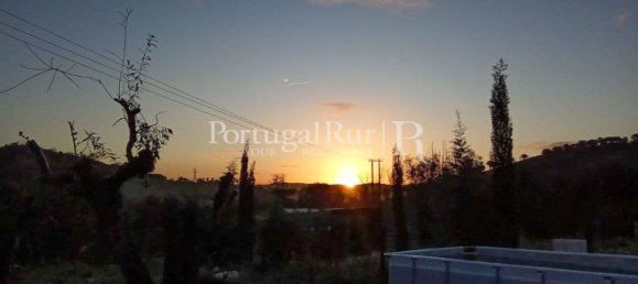 4 bedrooms House in Montemor o Novo, Portugal No. 15078 4