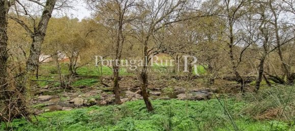 4 bedrooms House in Montemor o Novo, Portugal No. 15078 7