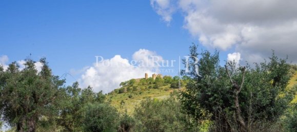 4 bedrooms House in Montemor o Novo, Portugal No. 15078 13