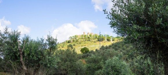 4 bedrooms House in Montemor o Novo, Portugal No. 15078 16